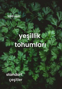 Yeşillik Tohumları 13 Çeşit