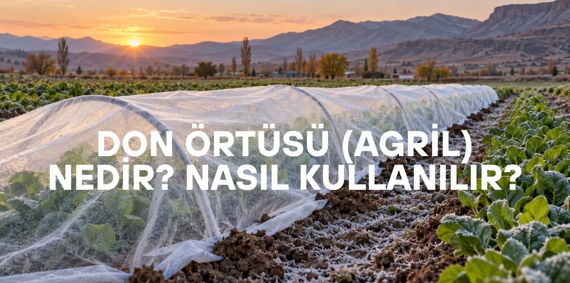 don örtüsü agril