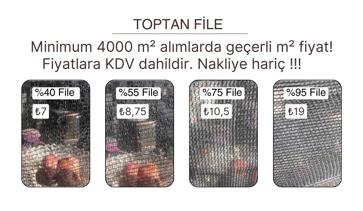 FİLE FİYATLARI