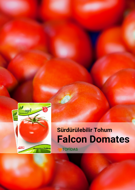  Falcon Domates Tohumu 5 gr