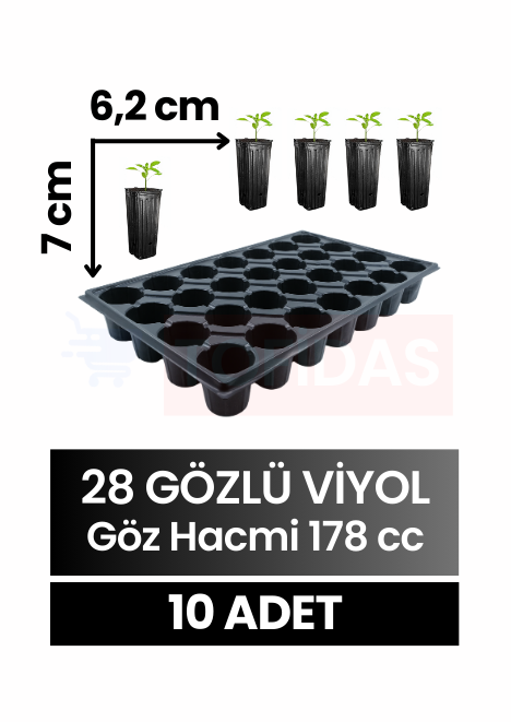 28 Göz Fide Viyolü 10 adet