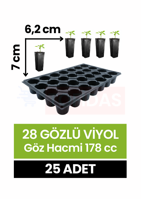 28 Göz Fide Viyolü 25 adet