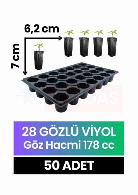 28 Göz Fide Viyolü 50 adet