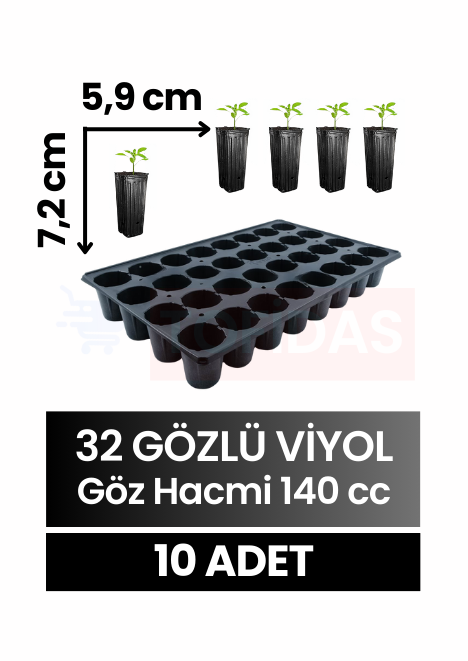 32 Göz Fide Viyolü 10 adet
