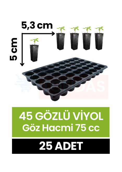 45 Göz Fide Viyolü 25 adet