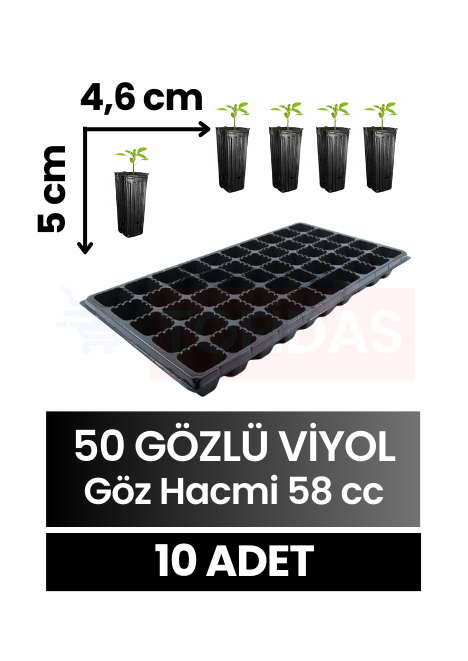 50 Göz Fide Viyolü 10 adet