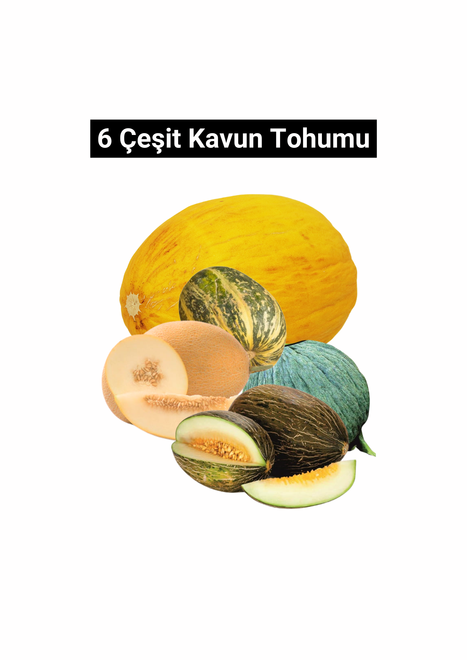 6 Çeşit Kavun Tohumu 