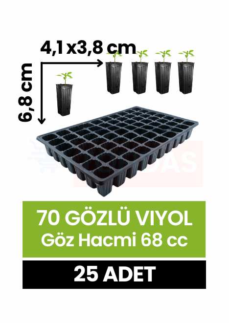 70 Göz Fide Viyolü 25 adet