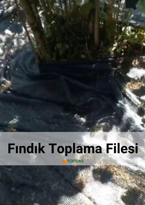 Fındık Toplama Filesi %55lik