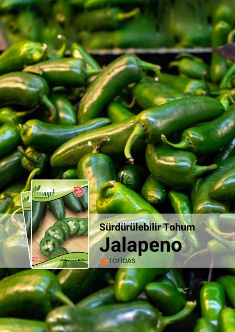 Jalapeno Biber Tohumu 5 gr