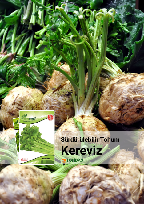 Kereviz Tohumu 5 g