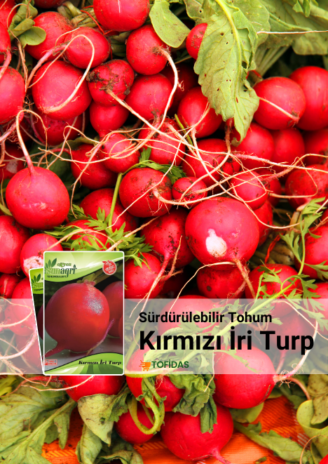 Kırmızı Turp Tohumu 10 gr