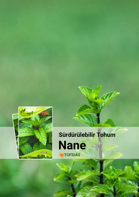 Nane Tohumu 100 adet tohum
