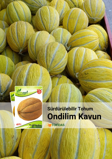 On Dilim Kavun Tohumu 5 g