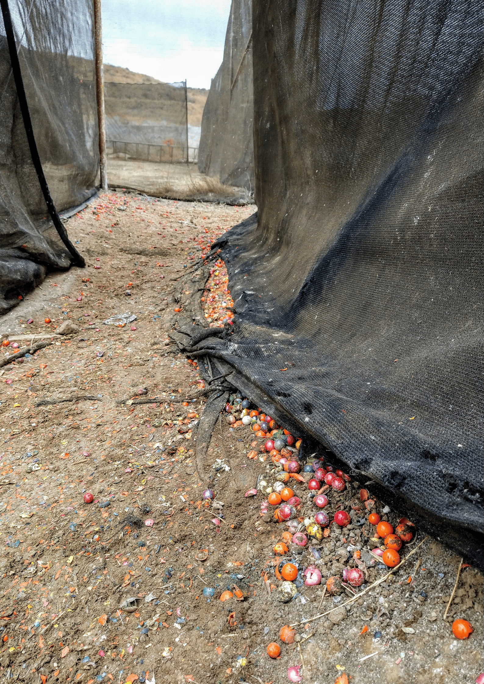 Paintball Filesi %75lik