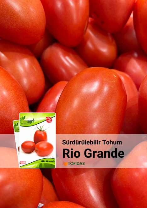 Rio Grande Domates Tohumu 5 gr