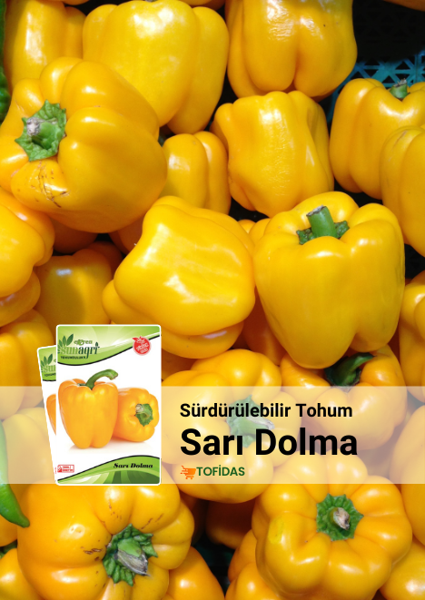 Sarı Dolma Biber Tohumu 5 gr