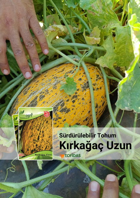 Uzun Kavun Tohumu 5 gr