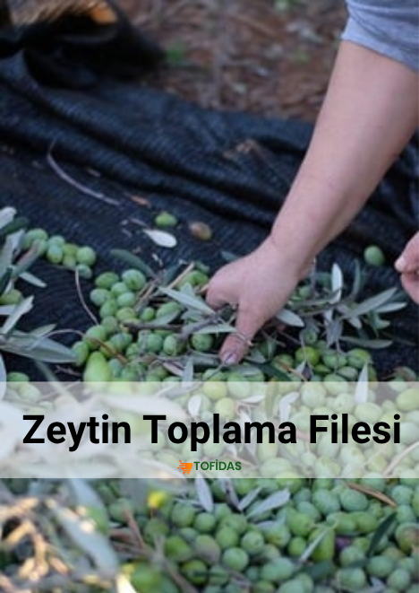 Zeytin Toplama Filesi %55lik