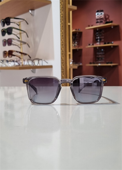 Paris Antrasit Güneş Gözlüğü