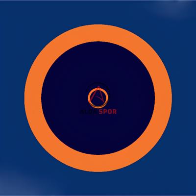 13x13 Güreş Minderi Brandası (Uww Standartında)