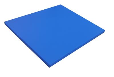 Mavi Judo Antrenman Minderi 100x100x4