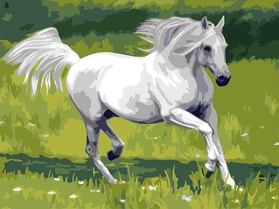 Ahal Teke Sayılarla Boyama Seti 40x50 cm (Tuvale Gerili)