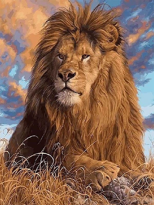 Aslan Sayılarla Boyama Seti 40x50 cm (Tuvale Gerili)