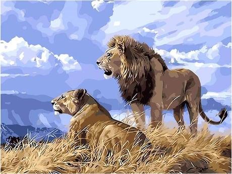 Aslan Sürüsü Sayılarla Boyama Seti 40x50 cm (Tuvale Gerili)