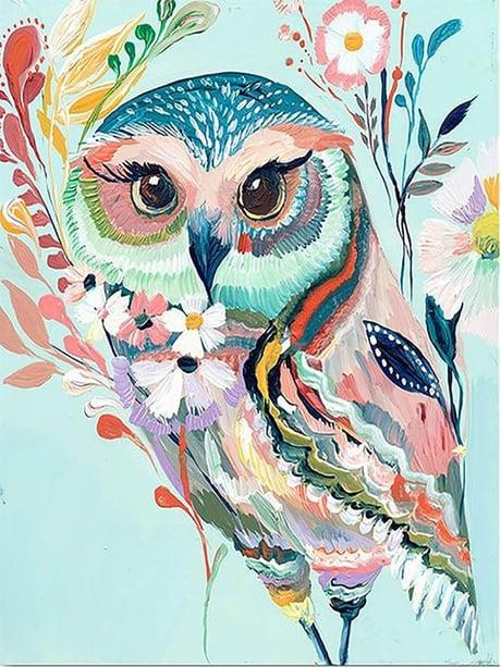 Bilge Baykuş Sayılarla Boyama Seti 40x50 cm (Tuvale Gerili)