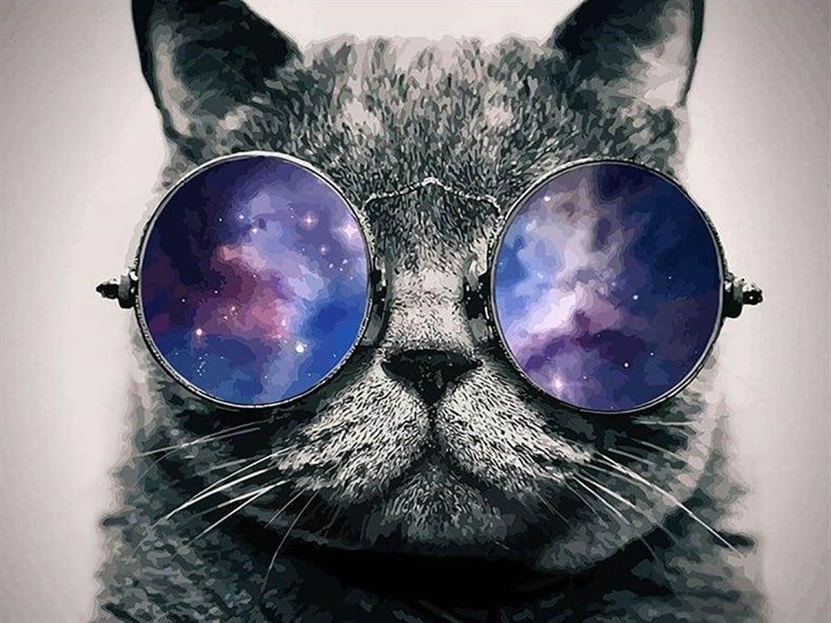 Cool Kedi Sayılarla Boyama Seti(40x50 cm Tuval Şasesine Gerili)