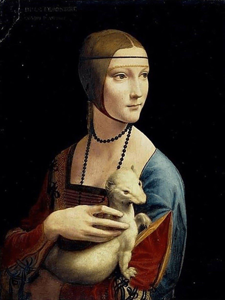 Da Vinci Kakımlı Leydi Sayılarla Boyama Seti(40x50 cm Tuval Şasesine Gerili)