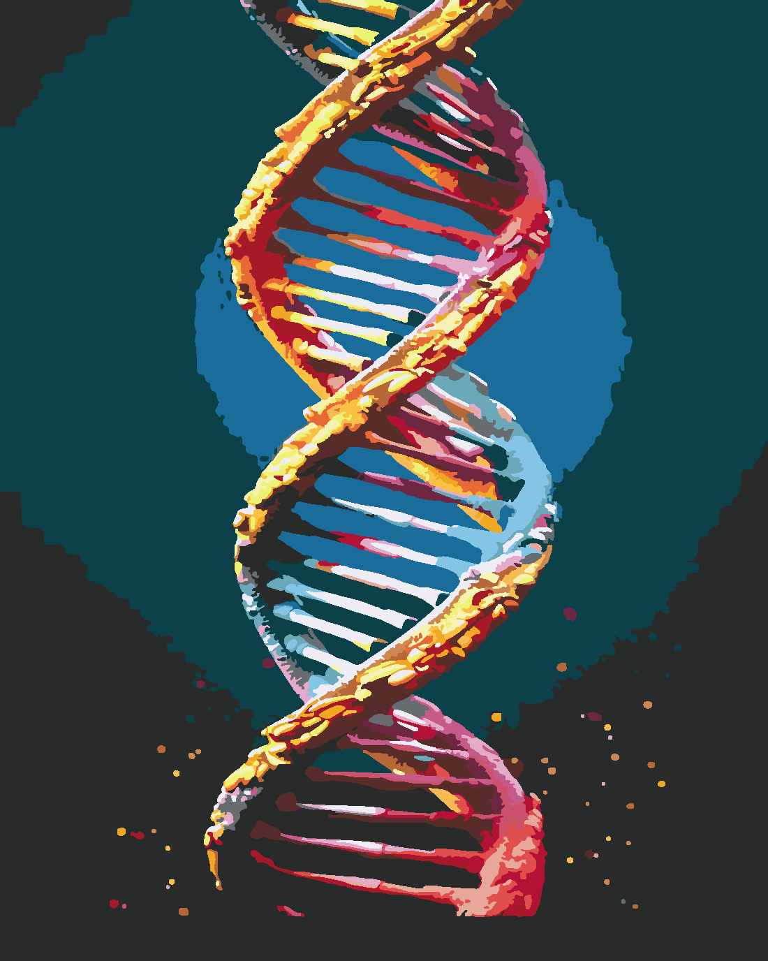 Dna Sayılarla Boyama Seti 40x50 cm (Tuvale Gerili)