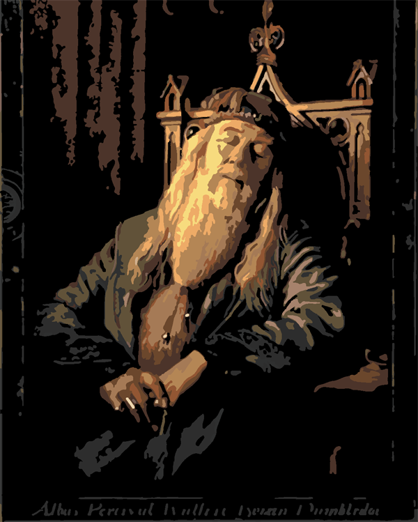 Dumbldore Sayılarla Boyama Seti  (Tuvale Gerili)