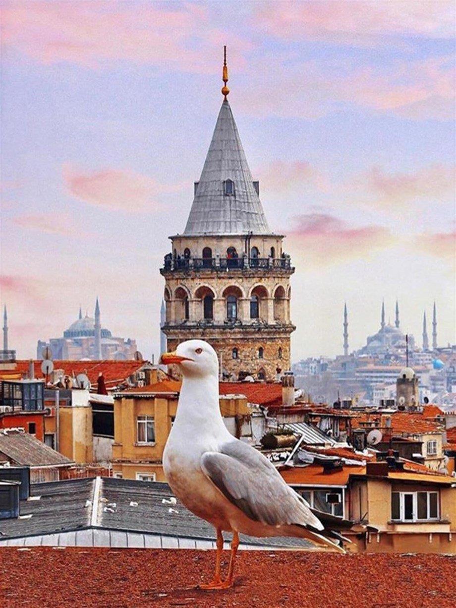 Galata Sayılarla Boyama Seti 40x50 cm (Tuvale Gerili)