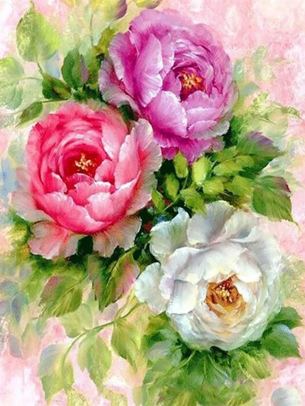 Güllerin Tonları Sayılarla Boyama Seti 40x50 cm (Tuvale Gerili)
