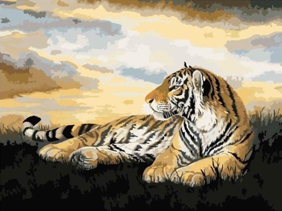 Kaplan Sayılarla Boyama Seti 40x50 cm (Tuvale Gerili)