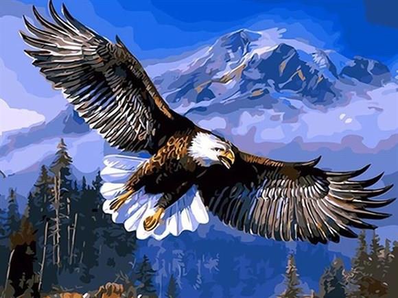 Kartal Sayılarla Boyama Seti 40x50 cm (Tuvale Gerili)