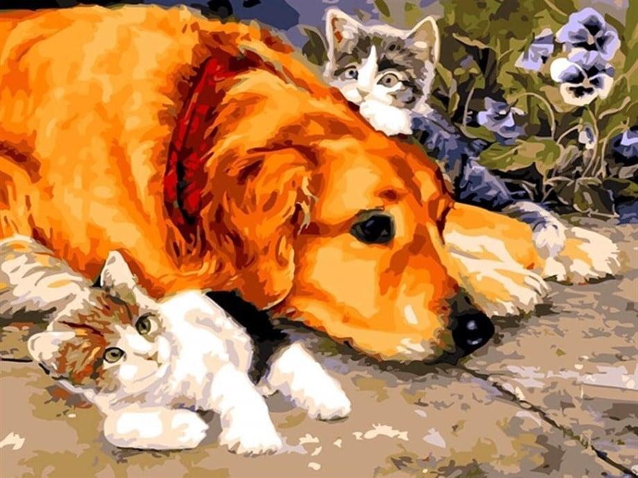 Küçük Dostlar Sayılarla Boyama Seti 40x50 cm (Tuvale Gerili)