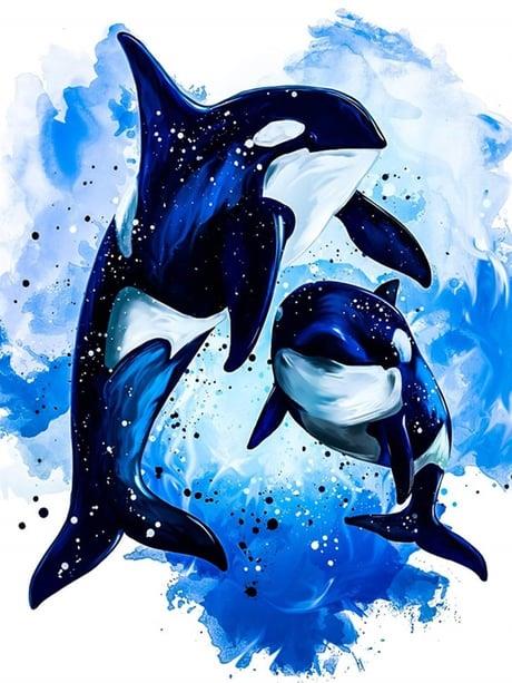 Orca Sayılarla Boyama Seti 40x50 cm (Tuvale Gerili)