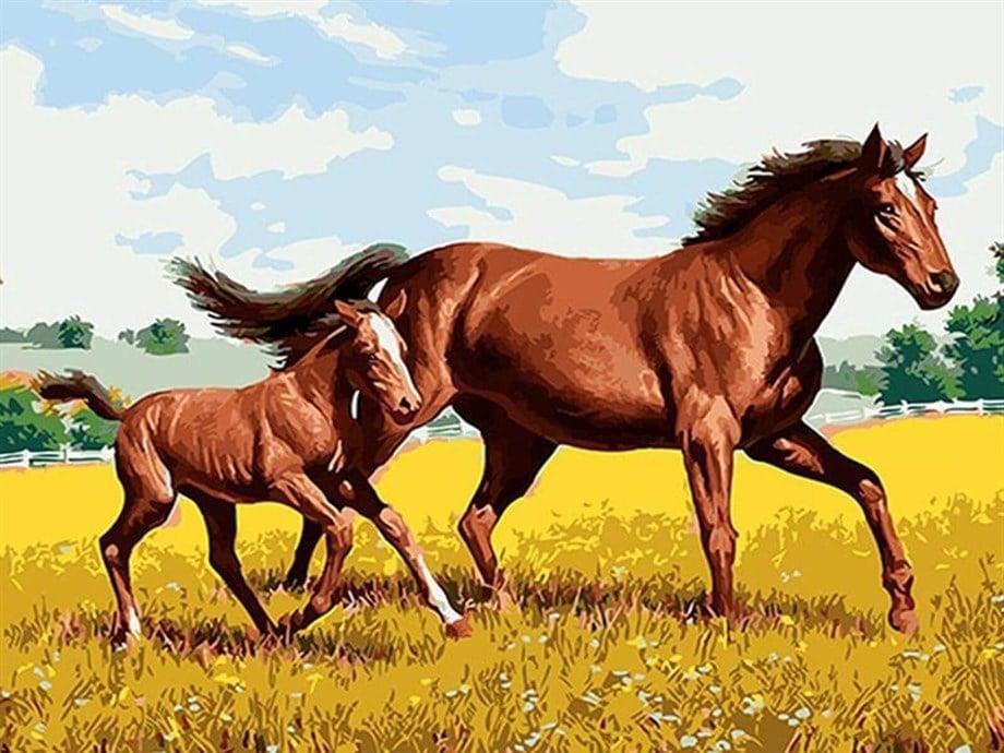 Özgürlüğe Doğru Sayılarla Boyama Seti(40x50 cm Tuval Şasesine Gerili)