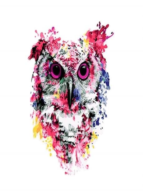 Pembe Baykuşlar Sayılarla Boyama Seti 40x50 cm (Tuvale Gerili)