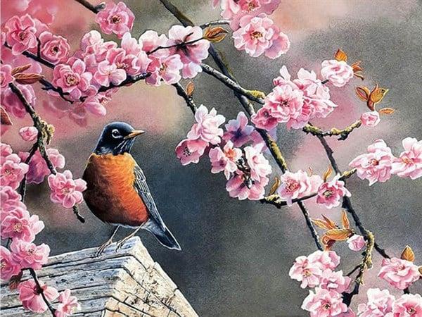 Pembe Çiçekler Ve Kuş Sayılarla Boyama Seti 40x50 cm (Tuvale Gerili)