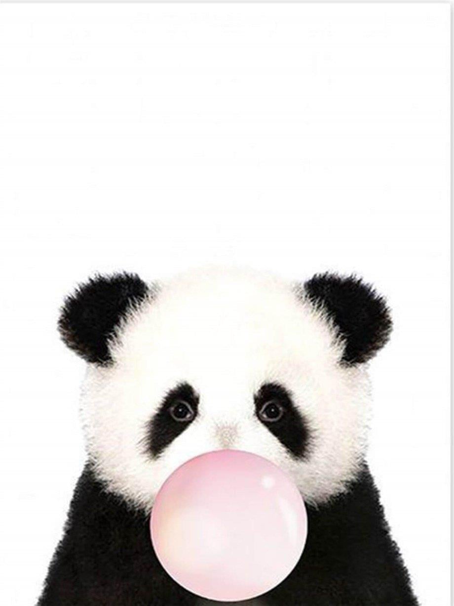 Sakız Çiğneyen Panda Sayılarla Boyama Seti(40x50 cm Tuval Şasesine Gerili)