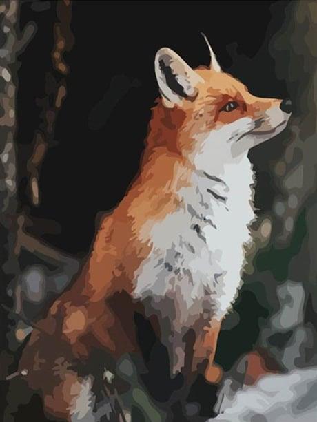 Tilki Sayılarla Boyama Seti 40x50 cm (Tuvale Gerili)