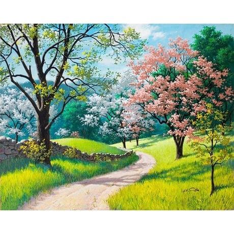 Yürüyüş Yolu Sayılarla Boyama Seti 40x50 cm (Tuvale Gerili)