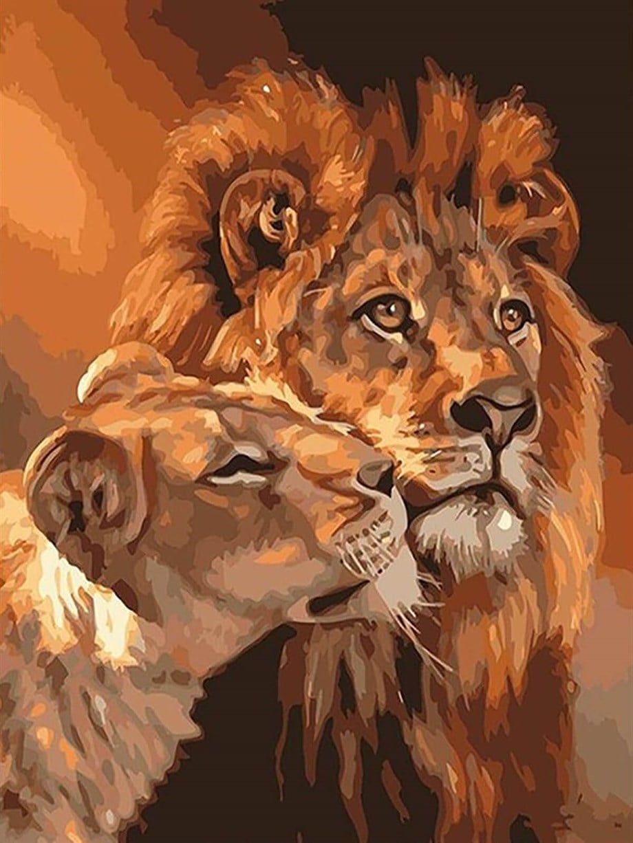 Aslan Çifti Sayılarla Boyama Seti 50x65 cm (Tuvale Gerili)