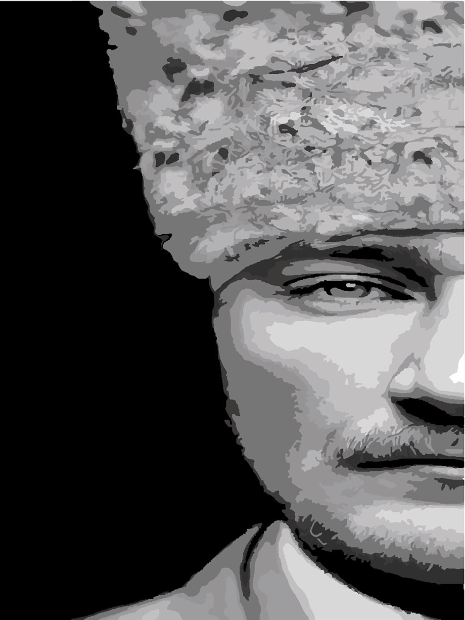 Başkumandan Sayılarla Boyama Seti 50x65 cm (Tuvale Gerili)