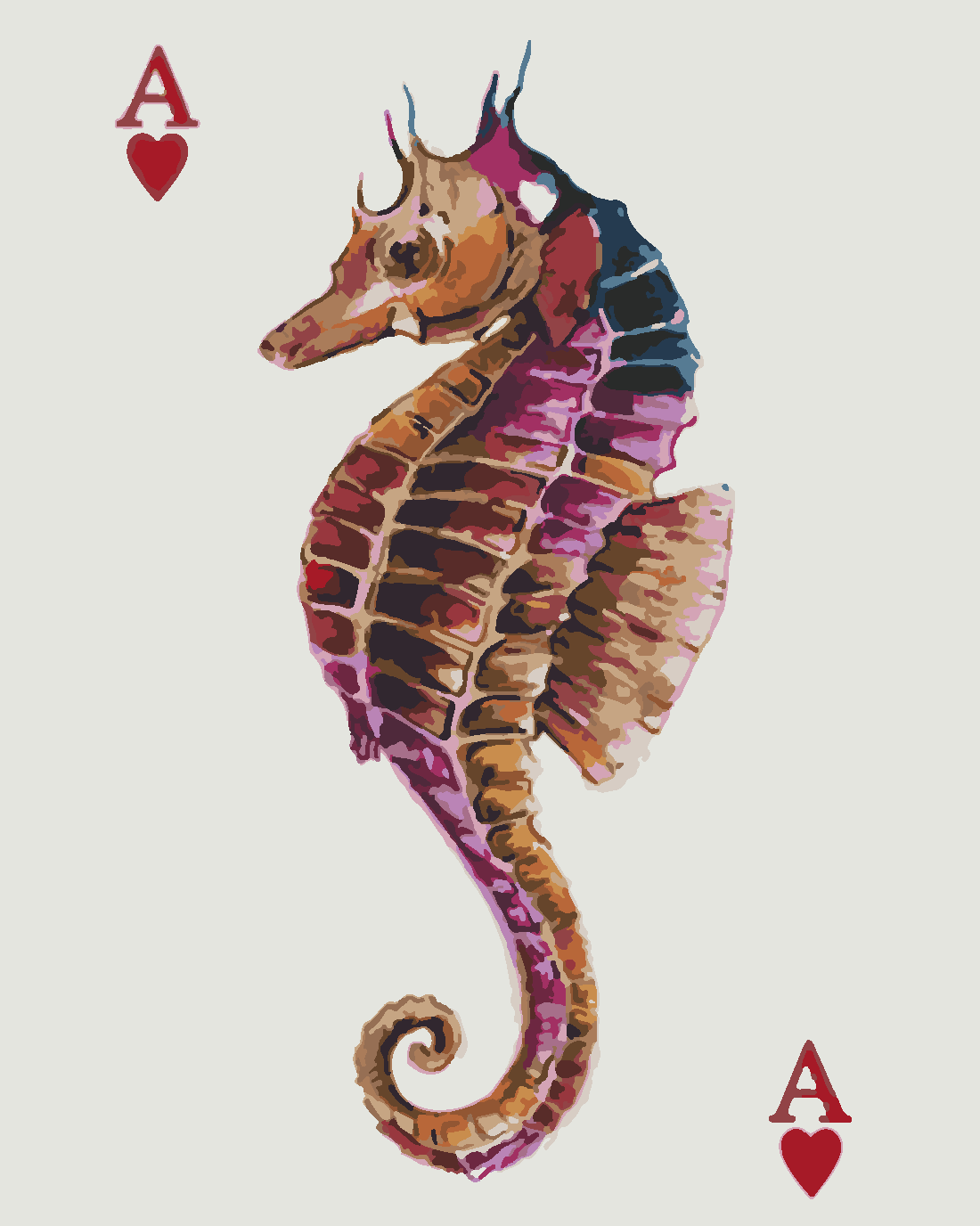 Deniz Ası Sayılarla Boyama Seti 40x50 cm (Tuvale Gerili)