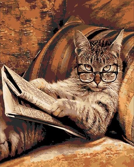 Emekli Tekir Sayılarla Boyama Seti  (Tuvale Gerili)